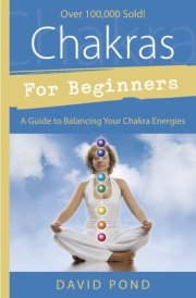 Chakras for Beginners by David Pond