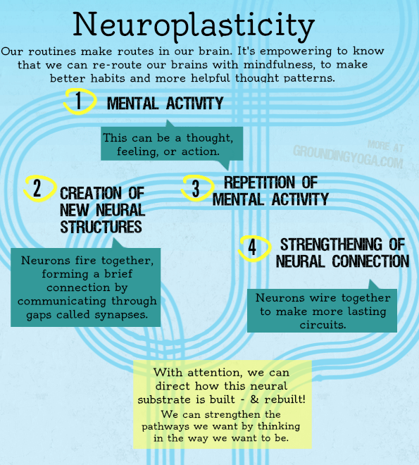 neuroplasticity